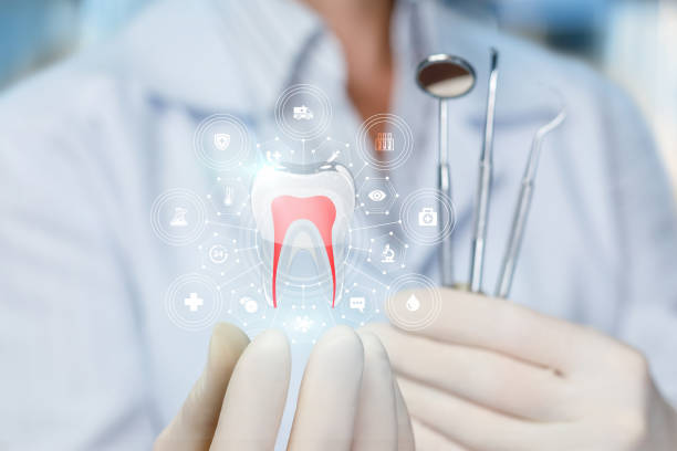 Best Laser Dentistry  in Harbour Heights, FL
